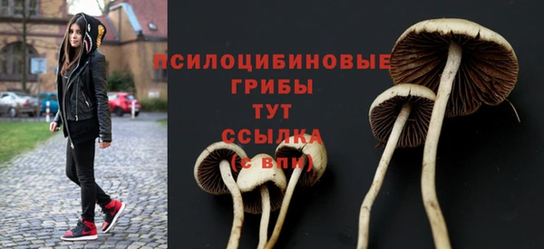скорость Абаза