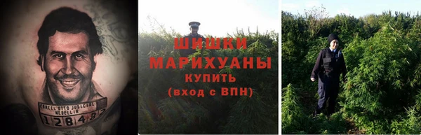 крисы Абдулино
