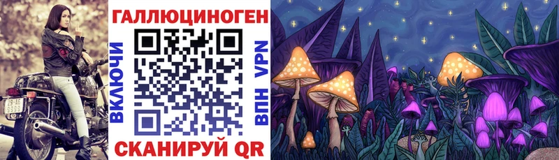 Галлюциногенные грибы Psilocybe  Камышлов 